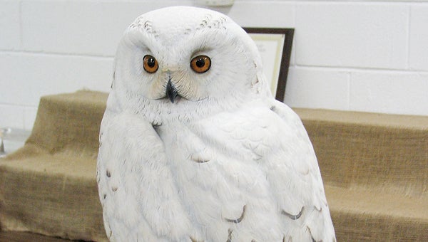 FILE PHOTO | DAILY NEWS LIFELIKE: This snowy owl, displayed at a previous festival, is a prime example of the wildlife carvings that will be shown this weekend during the East Carolina Wildlife Arts Festival in Washington. 