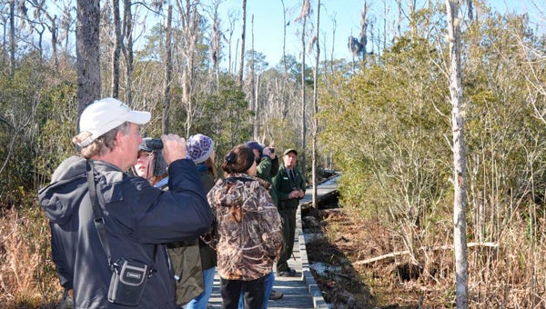 GOOSE CREEK STATE PARK | CONTRIBUTED UP CLOSE: Visitors to Goose Creek State Park explore the park and examine wildlife and trees native to the area. 