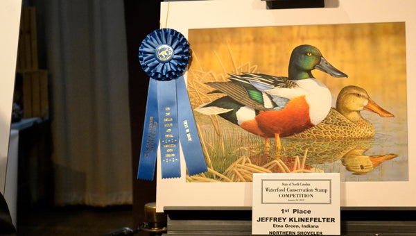 FILE PHOTO | DAILY NEWS  BLUE-RIBBON WORK: Jeffrey Klinefelter’s entry in the 2013 North Carolina Waterfowl Conservation Stamp competition took the top honor, bringing Klinefelter $7,000. 