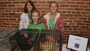 JONATHAN ROWE | DAILY NEWS ANIMAL FRIENDS: Bath Creek 4-Hers Melanie Rutledge, Natalie Asby and Kyndall Seger showcased chickens and rabbits at the inaugural Beaufort County 4-H Expo. 