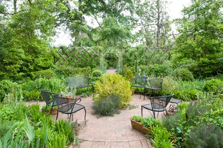 DAILY NEWS GREEN AND GREENER:  This Main Street backyard in Washington boasts an enormous amount of spring greenery. Homes across Beaufort County offer up some surprising secret gardens that might very well be on BCCC’s garden tour. 