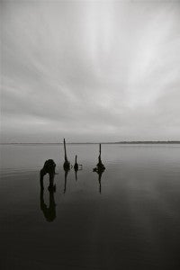 BOBBY DAVIS TRAVELS: Photographer Bobby Davis said each piece in the Arts of the Pamlico represents a moment in time. He and Justin Casey’s two-man show opens tonight at the Turnage Theatre. 