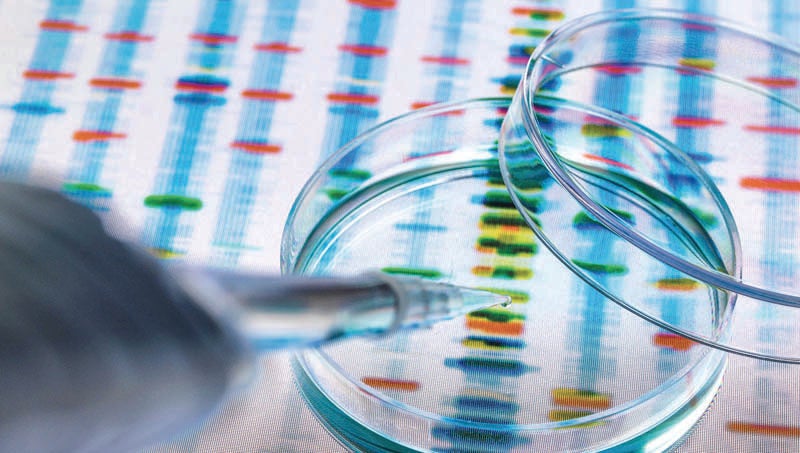 Western Carolina scientist speaks on DNA testing process in animal attack -  Washington Daily News | Washington Daily News